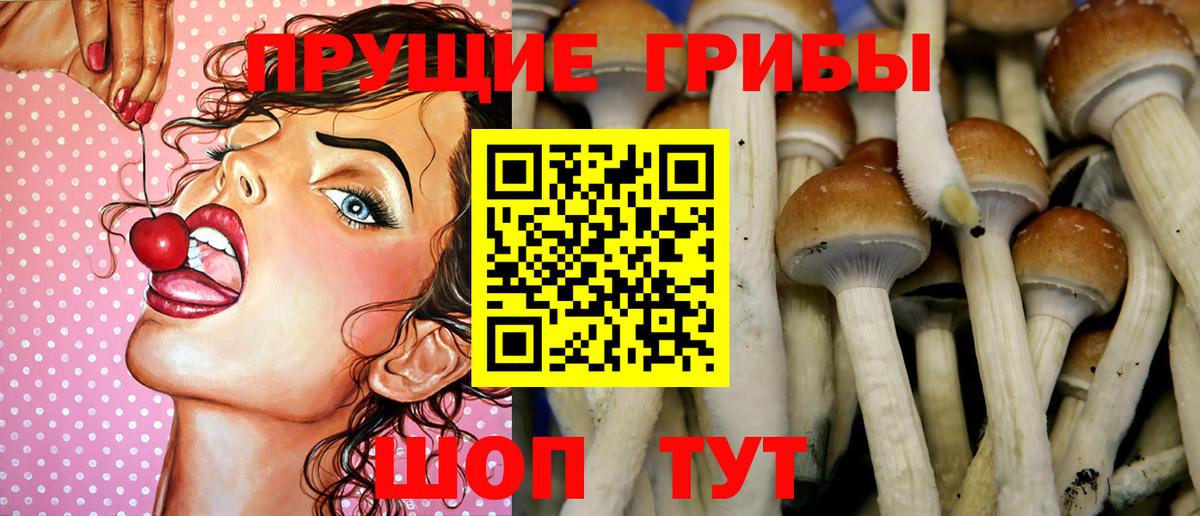 Псилоцибиновые грибы мухоморы Сыктывкар